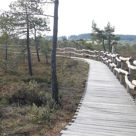 アパート Ortsmitte