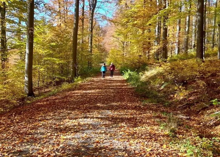 Ortsmitte Apartmán Hilders